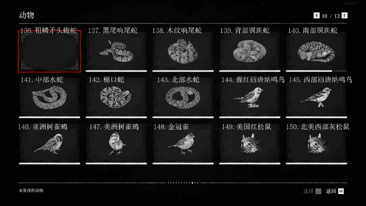 荒野大镖客2瓜马岛稀有动物狩猎攻略