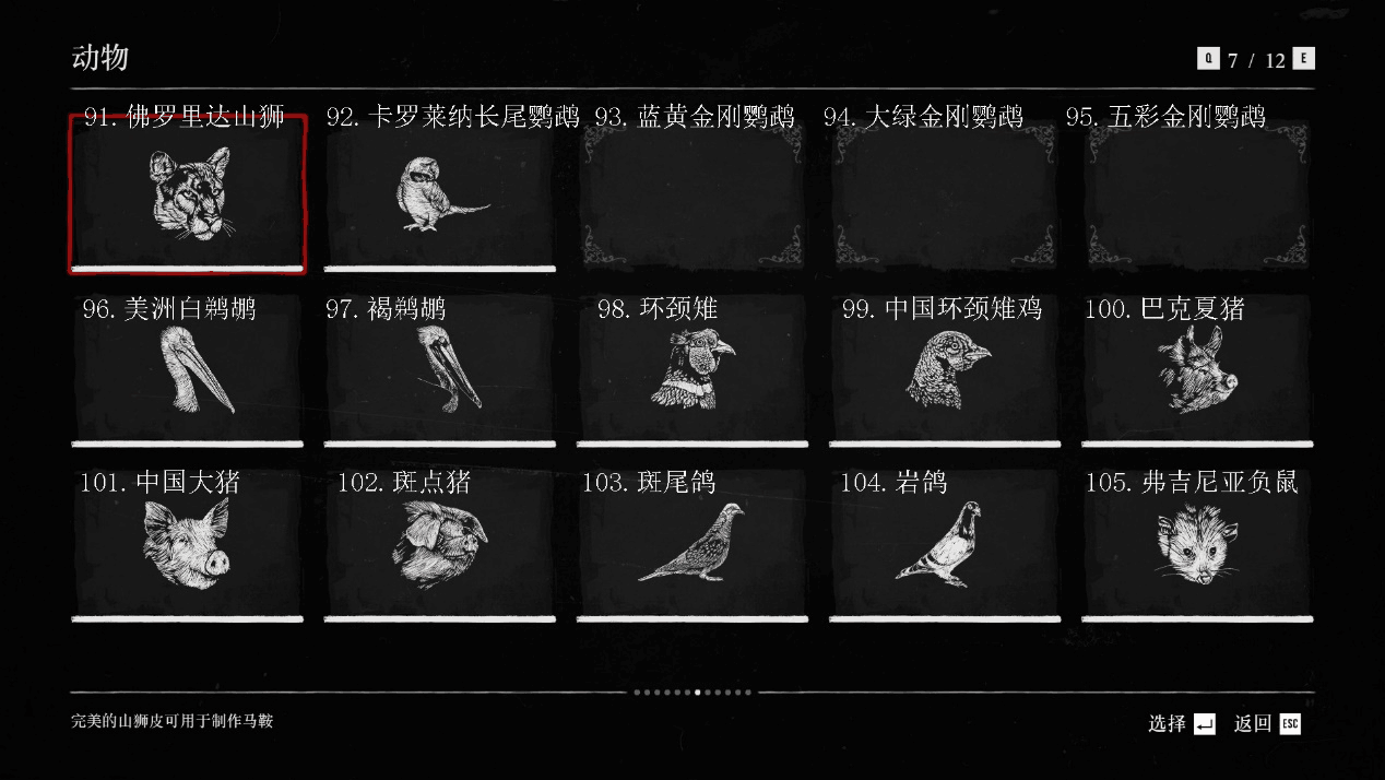 荒野大镖客2瓜马岛稀有动物狩猎攻略 瓜马岛动物位置一览